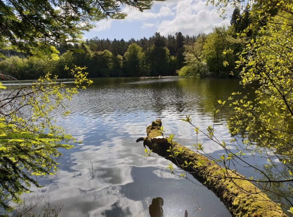 Naturture med vandring ved Gudenåen